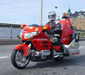 Goldwing Retriever